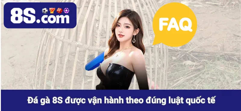 Đá gà 8S được vận hành theo đúng luật quốc tế